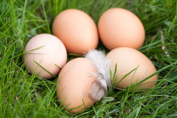 Куриные яйца, лежащие в зеленой траве — стоковое фото