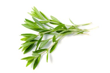 Kekik taze bitkisi beyaz arkaplanda izole edilmiş.