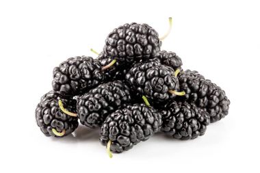 Dut dutu beyaz arka plan makrosu üzerinde izole