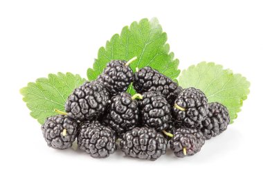 Beyaz arka planda yaprak izole edilmiş dut üzümü