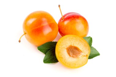 Beyaz arkaplanda yaprakları olan sarı erik