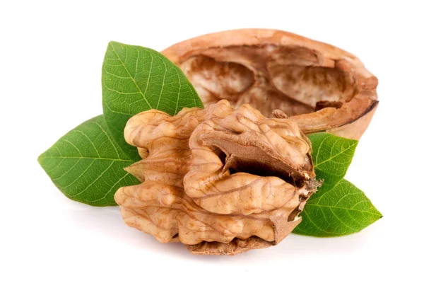 Walnut with leaf isolated on white background — Stock Photo, Image