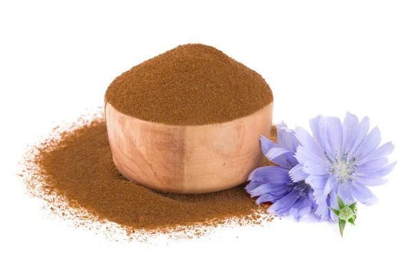 Flor de chicória e pó de chicória instantânea isolado em um fundo branco. Cichorium intybus . — Fotografia de Stock