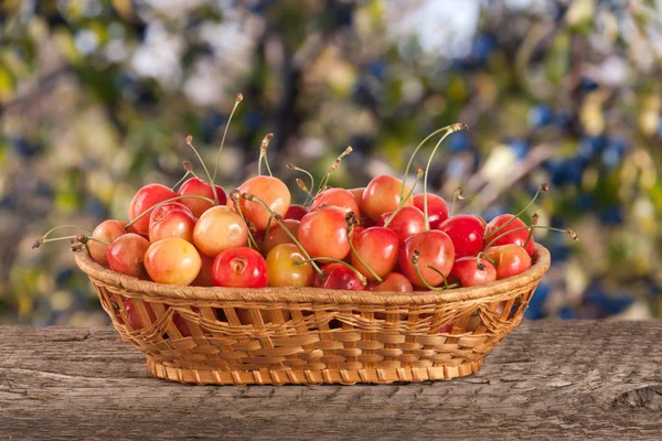 Bulanık bir bahçe arka plan ile ahşap bir masa üzerinde bir hasır sepet içinde sarı kiraz