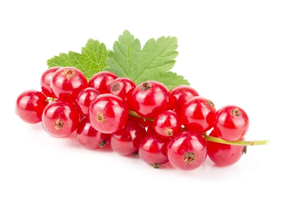 Merah currant berry dengan daun terisolasi pada latar belakang putih — Stok Foto