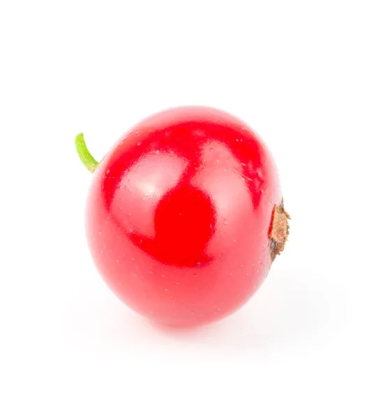 Ягоди червоної смородини ізольовані на білому тлі — стокове фото