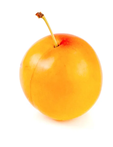 One yellow plum isolated on white background — Stock Photo, Image
