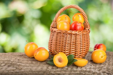 Bulanık bir bahçe arka plan ile ahşap bir masa üzerinde bir hasır sepet içinde sarı Erik