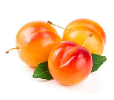 Beyaz arka plan üzerinde izole bir sarı Erik