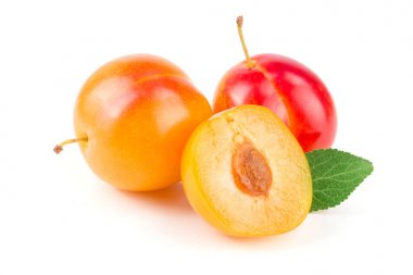 Beyaz arkaplanda yaprakları olan sarı erik