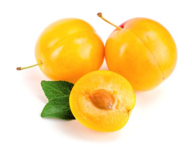 Beyaz arkaplanda yaprakları olan sarı erik