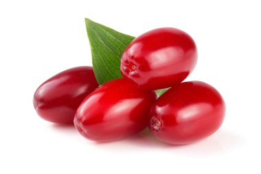 Beyaz arka plan üzerinde izole yaprak ile kızılcık berry