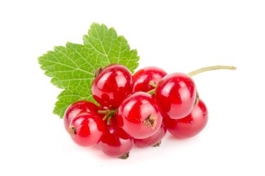 Beyaz arka planda yapraklı kırmızı frenk üzümü.