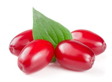 Beyaz arka plan üzerinde izole yaprak ile kızılcık berry