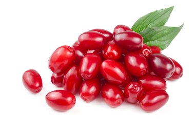 Beyaz arka plan üzerinde izole yaprak ile kızılcık berry