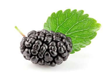 Beyaz arka planda yaprak izole edilmiş dut üzümü