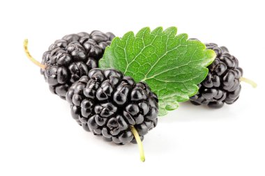 Beyaz arka planda yaprak izole edilmiş dut üzümü