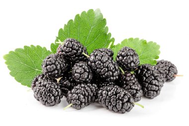 Beyaz arka planda yaprak izole edilmiş dut üzümü