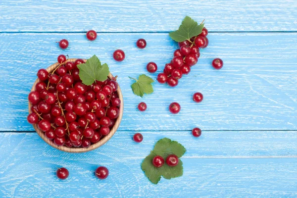 Red currant berries in a wooden bowl with leaf on the blue wooden background with copy space for your text. Top view — Stock Photo, Image