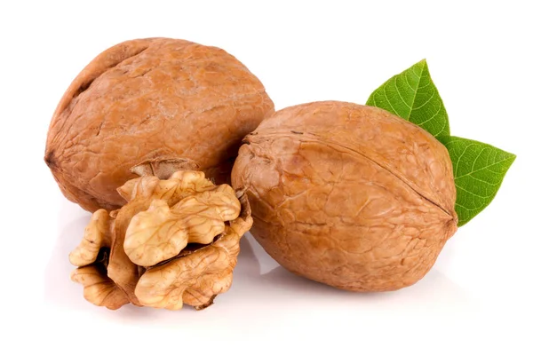 Nueces con hoja aislada sobre fondo blanco — Foto de Stock