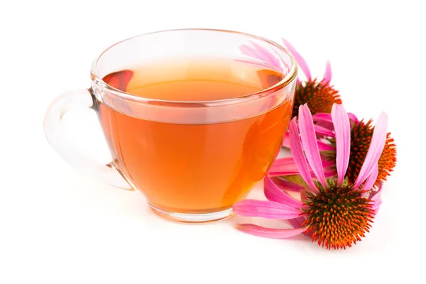 Echinacea čaj izolovaných na bílém pozadí. Léčivé čaje — Stock fotografie