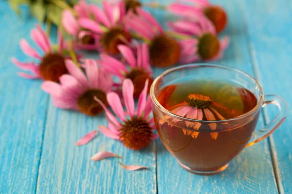 Echinacea čaj na modré dřevěný stůl — Stock fotografie