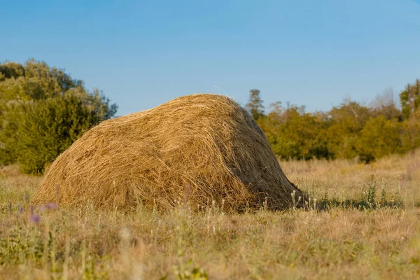 En halm stack. Foto närbild på sommaren — Stockfoto