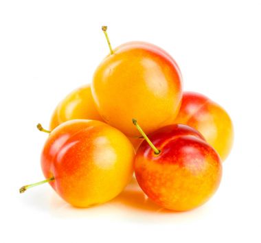 Beyaz arkaplanda izole edilmiş sarı erikler