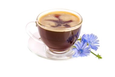 Hindiba Kupası ve beyaz arka plan üzerinde izole hindiba çiçek