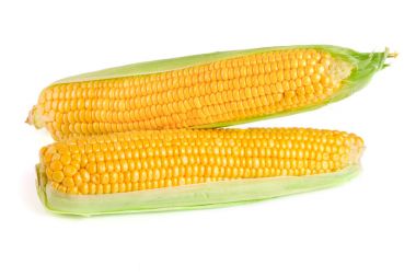 Beyaz bir arka plan üzerinde izole Mısır kulak