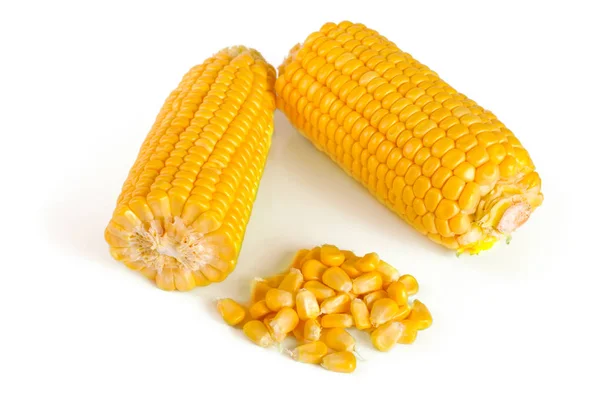 Öra av majs isolerad på en vit bakgrund — Stockfoto