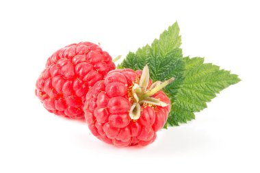 İki ahududu beyaz arka plan makro'izole yaprak ile