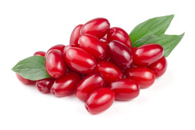 Beyaz arka plan üzerinde izole yaprak ile kızılcık berry