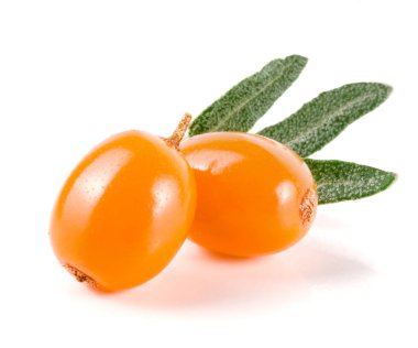 Seabuckthorn çilek beyaz arka plan makro'izole yaprakları ile