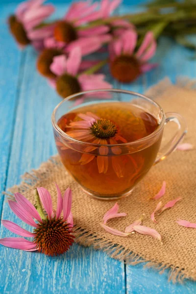 Kopje echinacea thee op blauwe houten tafel — Stockfoto