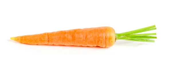 Sayuran wortel dengan daun yang terisolasi pada latar belakang putih — Stok Foto