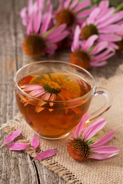 Echinacea teát régi fából készült asztal — Stock Fotó