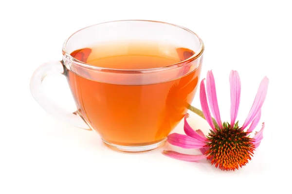 Echinacea thee geïsoleerd op een witte achtergrond. Medicinale thee — Stockfoto