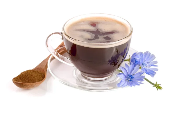 Taza de achicoria y flor de achicoria aisladas sobre fondo blanco — Foto de Stock