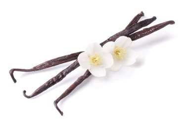 Beyaz arka plan üzerinde izole çiçek ile vanilya çubukları