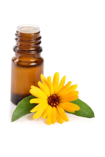 Aceite esencial de aromaterapia con flores de caléndula fondo blanco aislado —  Fotos de Stock