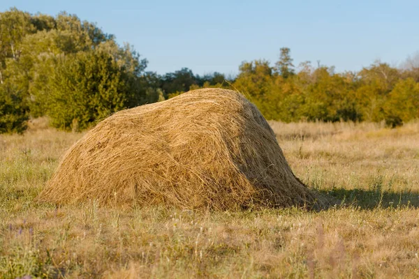 One straw stack. Photo close-up in summer — Stock Photo, Image