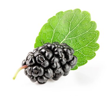 Beyaz arka planda yaprak izole edilmiş dut üzümü