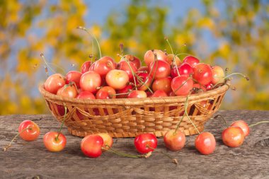 Bulanık bir bahçe arka plan ile ahşap bir masa üzerinde bir hasır sepet içinde sarı kiraz