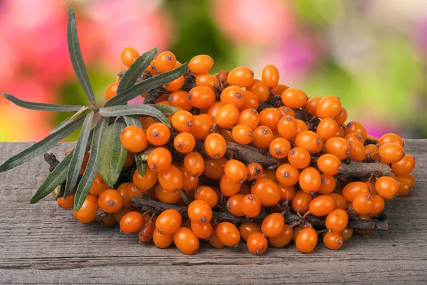 Deniz cehri şube Bahçe arka plan bulanık bir ahşap tablo