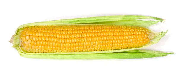 Ухо кукурузы изолированы на белом фоне. Вид сверху — стоковое фото