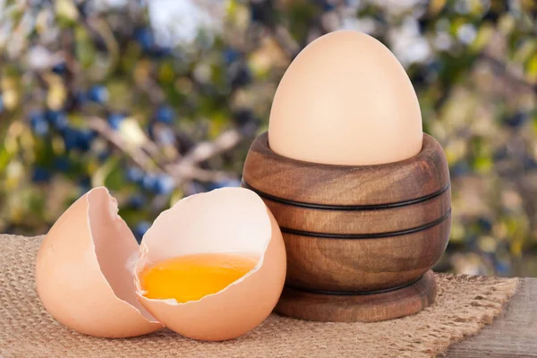 Ei in een houten kom op een bord met onscherpe achtergrond van de tuin — Stockfoto