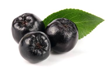 Chokeberry yaprak beyaz arka plan üzerinde izole. Siyah aronia çilek
