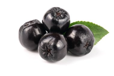 Chokeberry yaprak beyaz arka plan üzerinde izole. Siyah aronia çilek