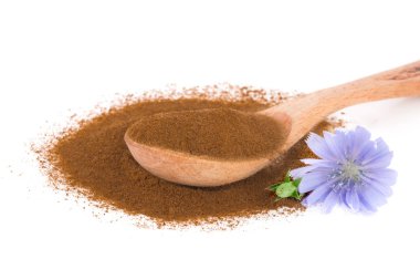 hindiba çiçek ve anlık hindiba beyaz bir arka plan üzerinde izole toz. Cichorium intybus.